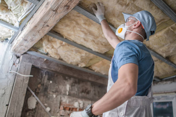 Types of Insulation We Offer in Sandusky, OH