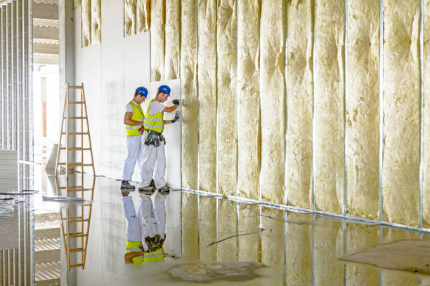 Best Eco-Friendly Insulation in Sandusky, OH